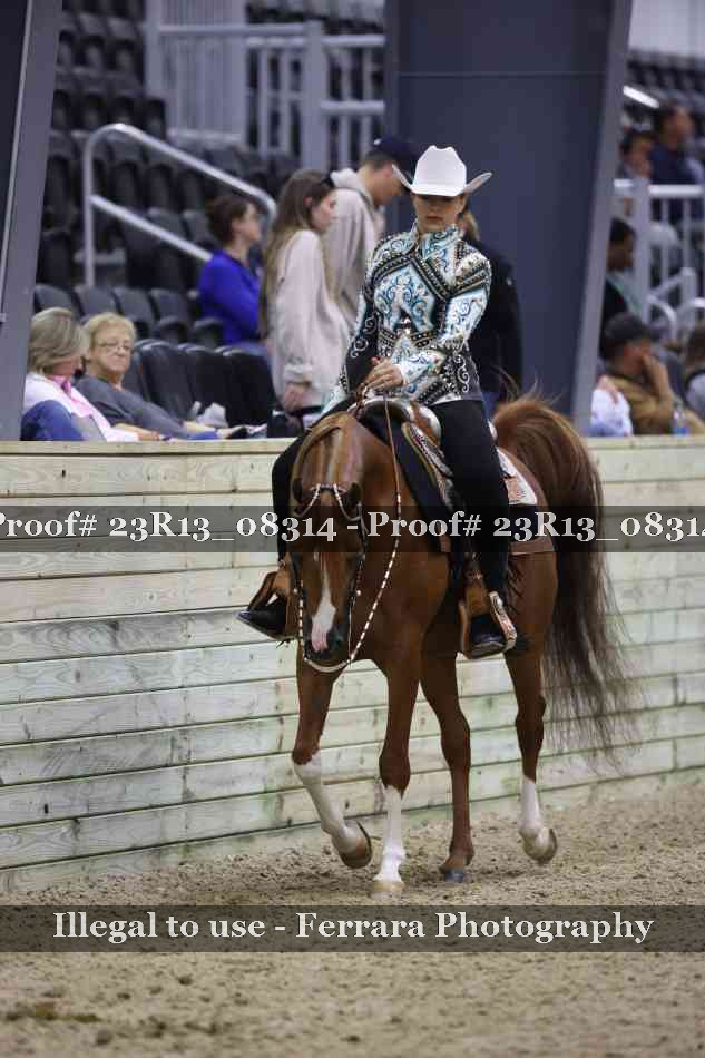 Proof 23R13_08314