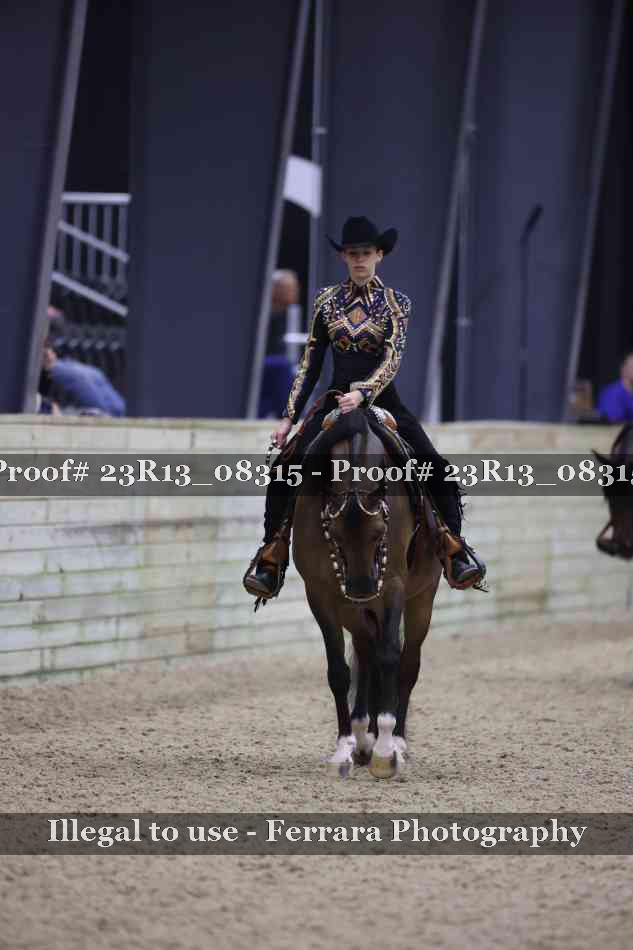 Proof 23R13_08315