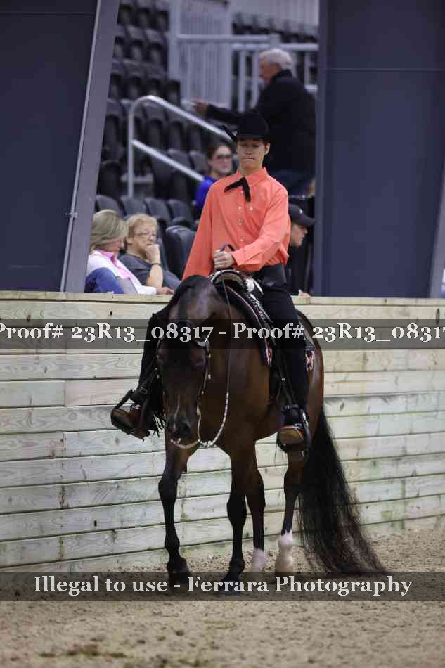Proof 23R13_08317