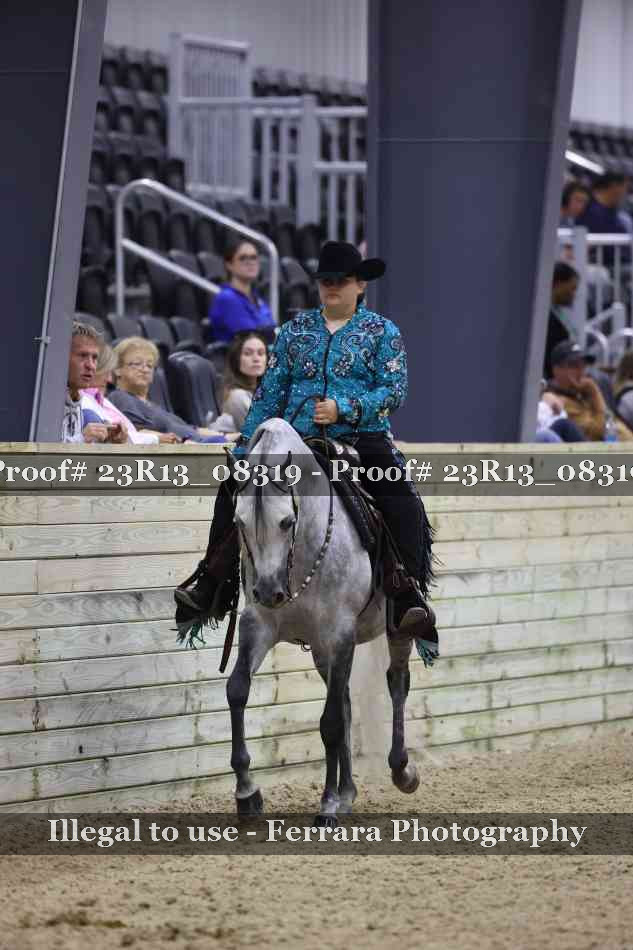Proof 23R13_08319