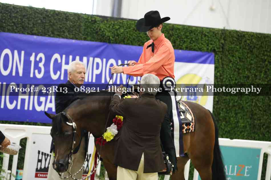 Proof 23R13_08321