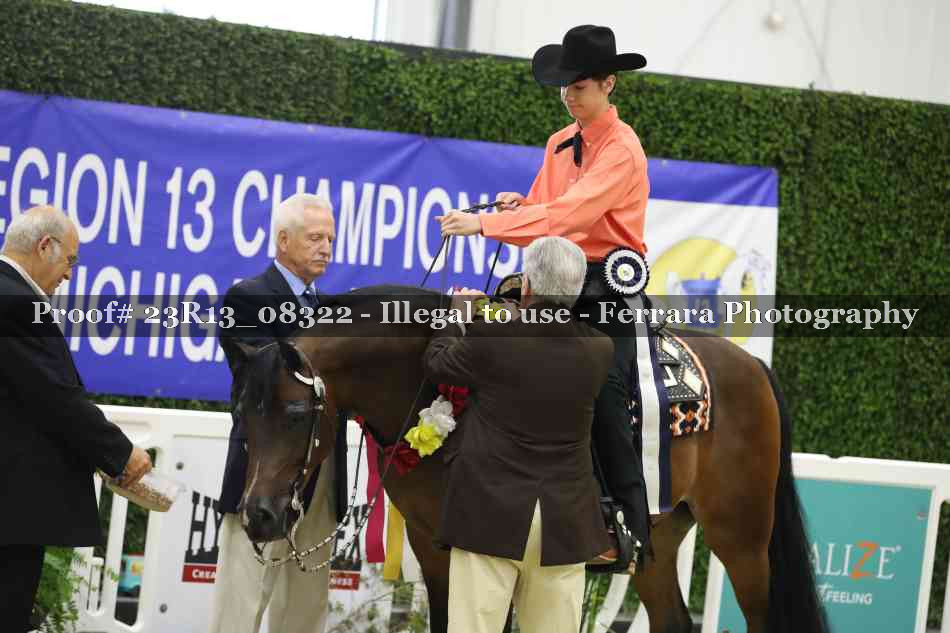 Proof 23R13_08322