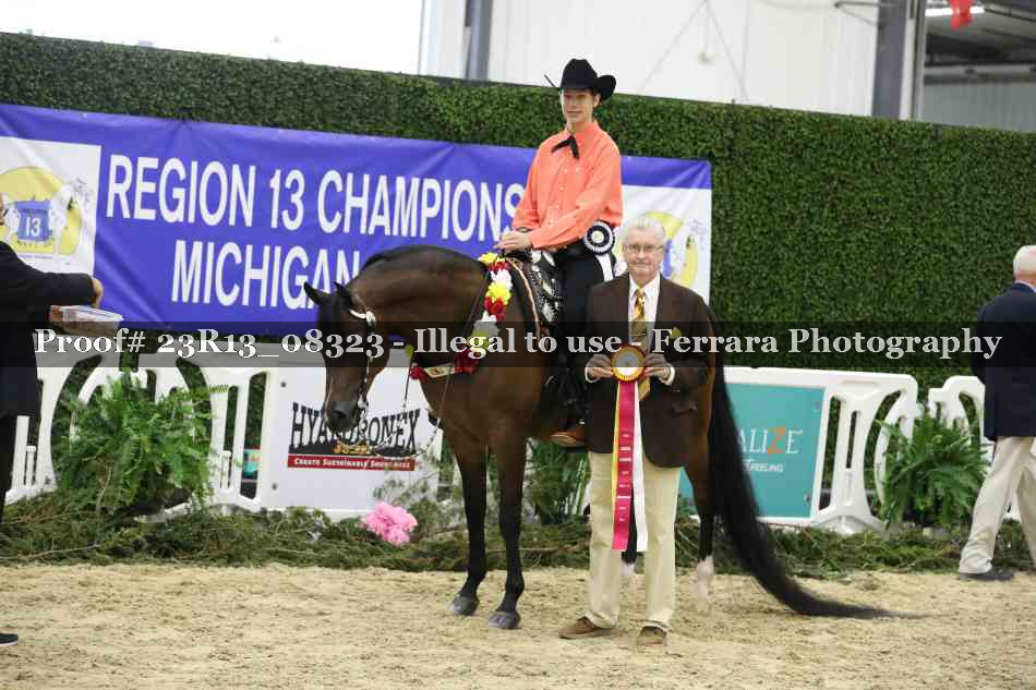 Proof 23R13_08323
