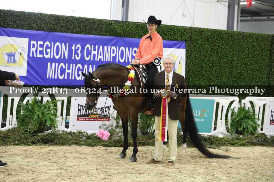 Proof 23R13_08324