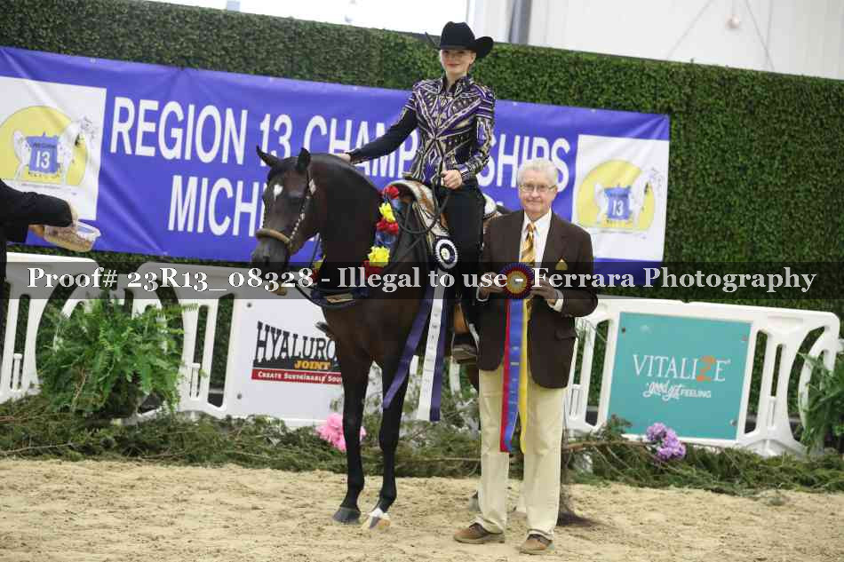 Proof 23R13_08328