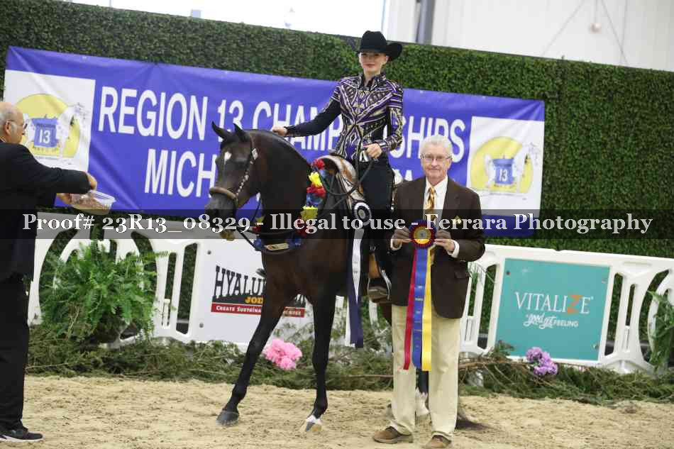 Proof 23R13_08329