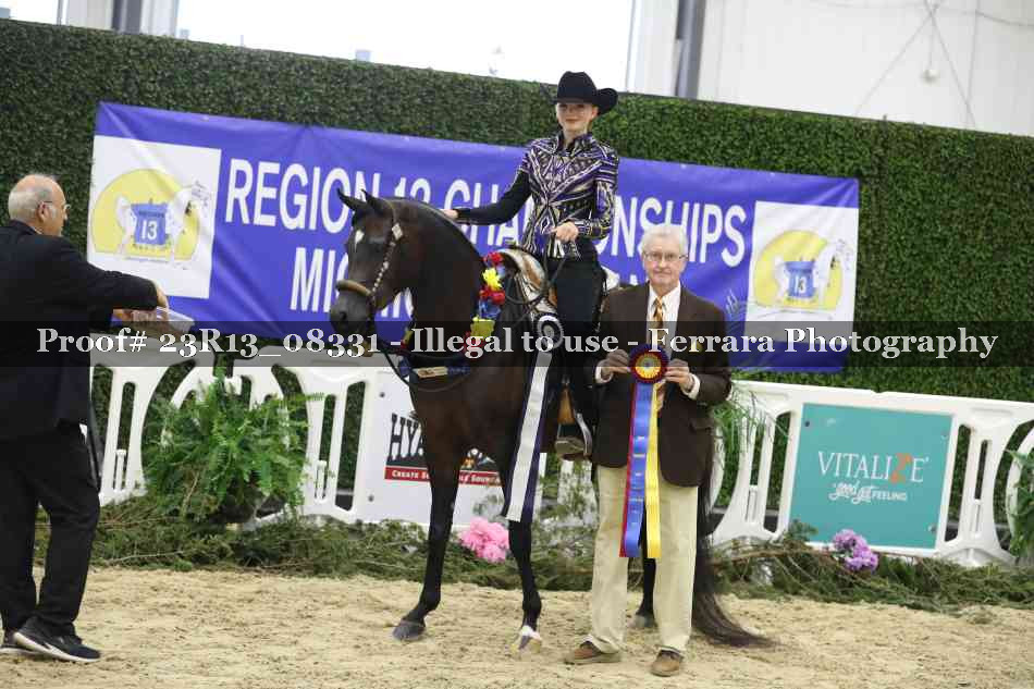 Proof 23R13_08331