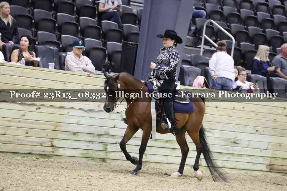 Proof 23R13_08332