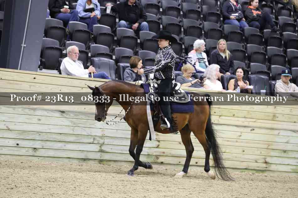 Proof 23R13_08333