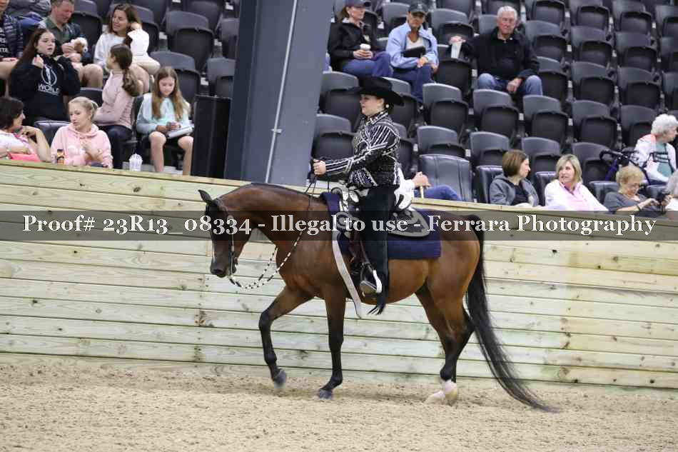 Proof 23R13_08334