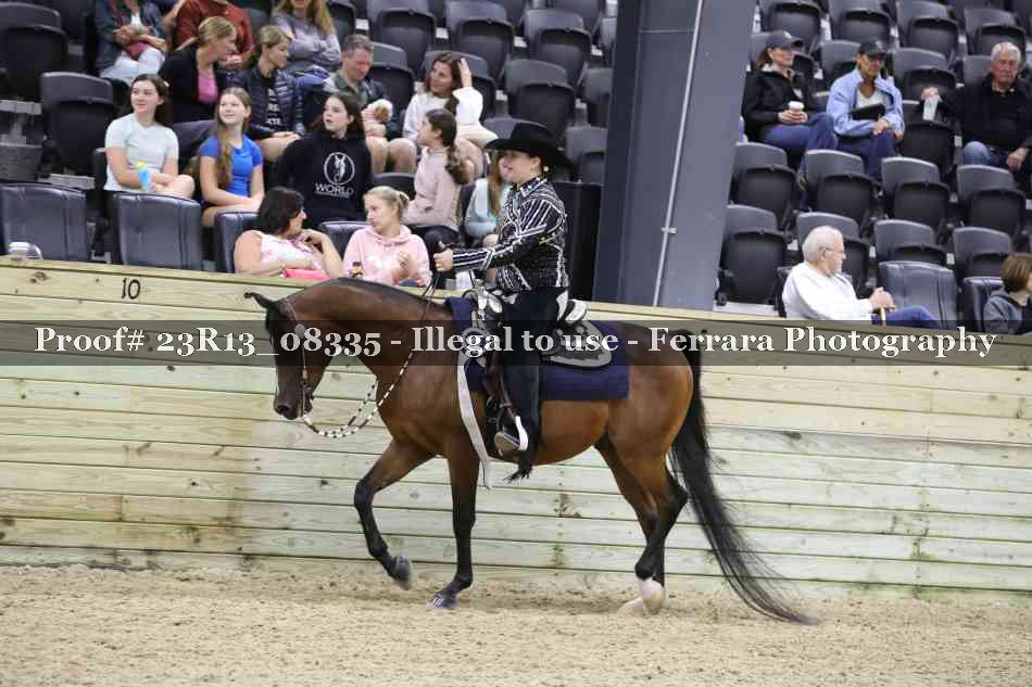 Proof 23R13_08335