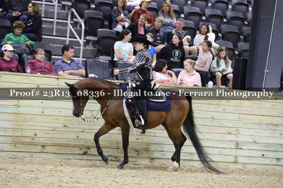 Proof 23R13_08336