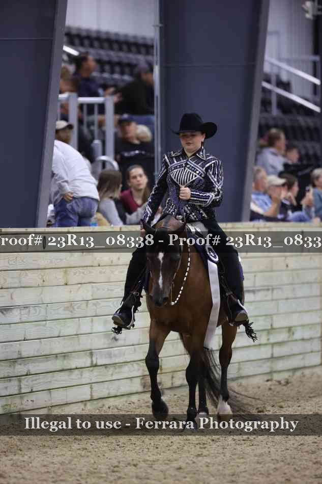 Proof 23R13_08338