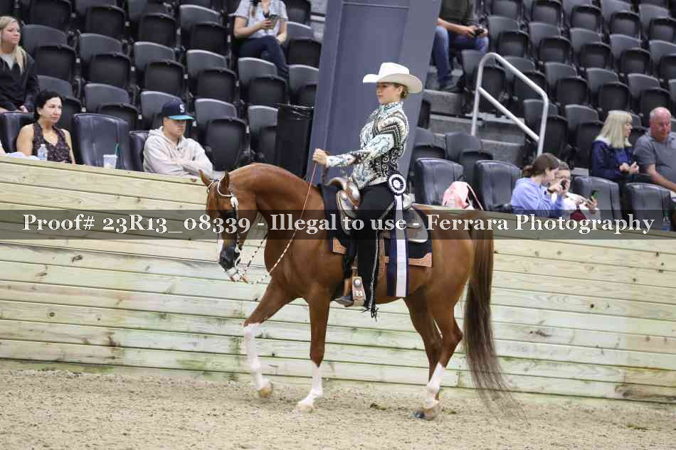 Proof 23R13_08339