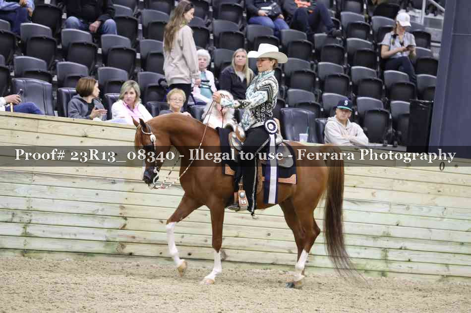 Proof 23R13_08340