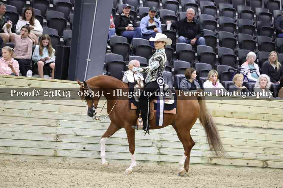Proof 23R13_08341