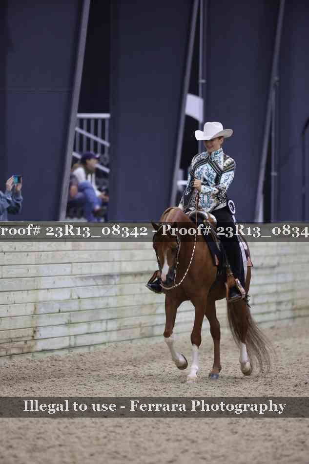 Proof 23R13_08342