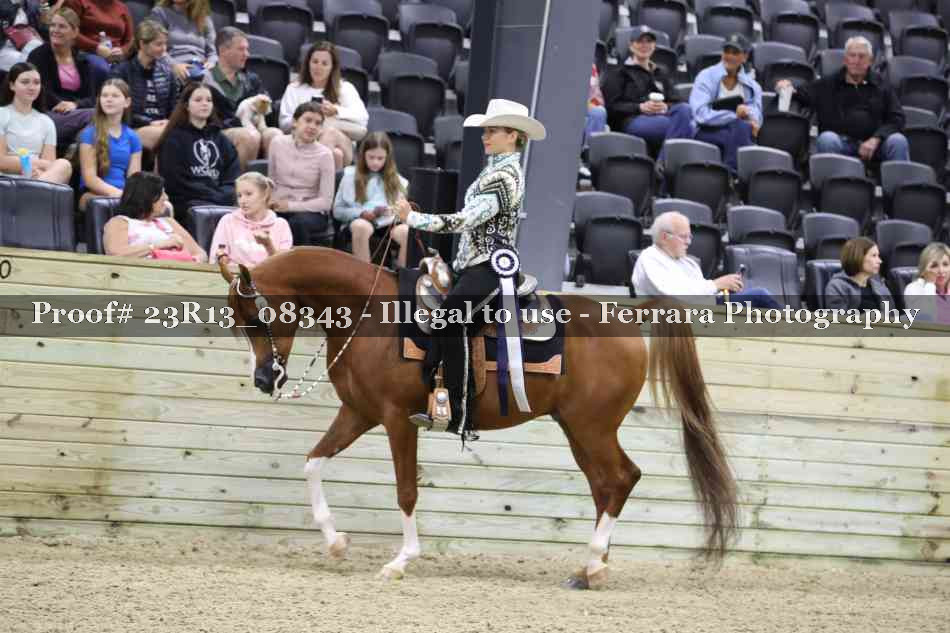 Proof 23R13_08343