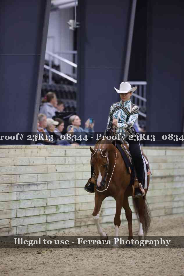 Proof 23R13_08344