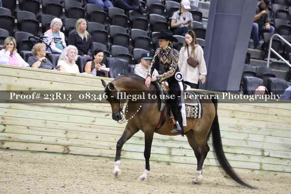 Proof 23R13_08346