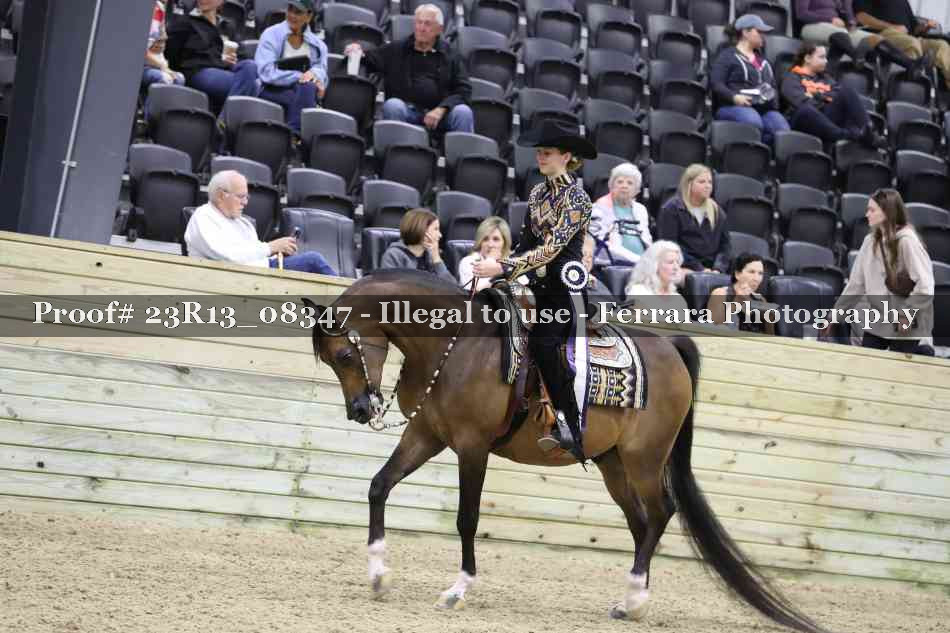 Proof 23R13_08347
