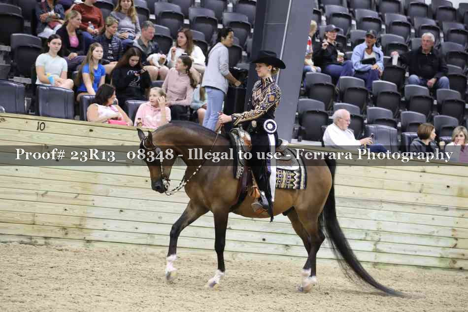Proof 23R13_08348