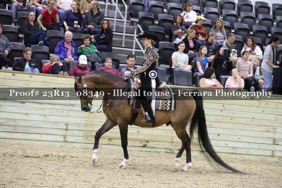 Proof 23R13_08349