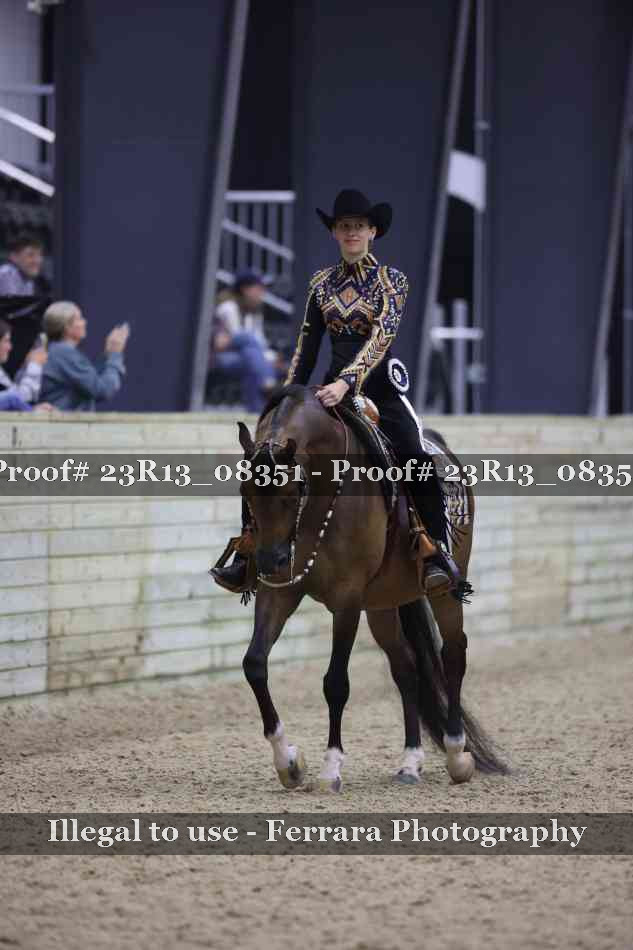Proof 23R13_08351