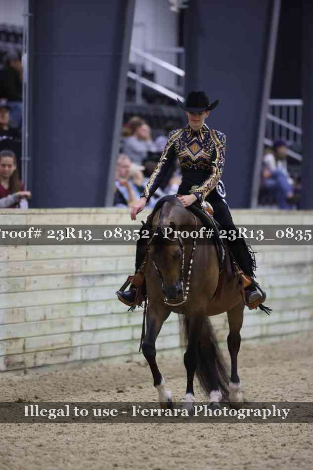 Proof 23R13_08352