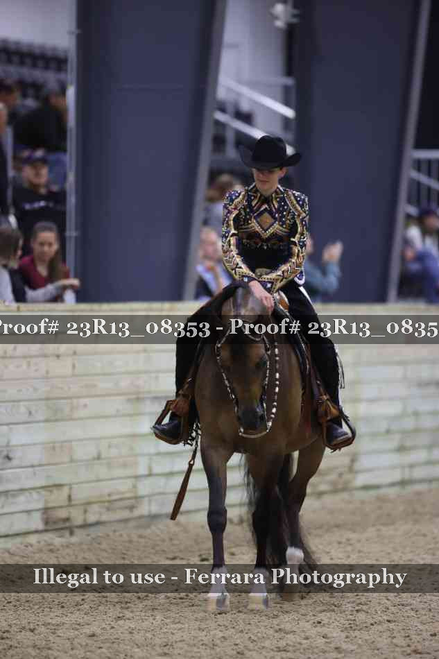 Proof 23R13_08353
