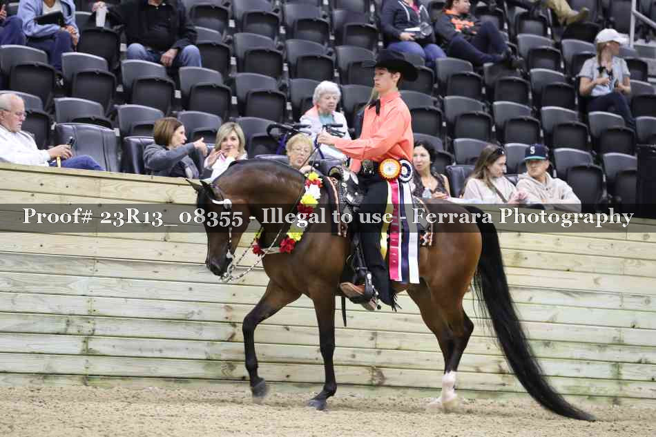Proof 23R13_08355