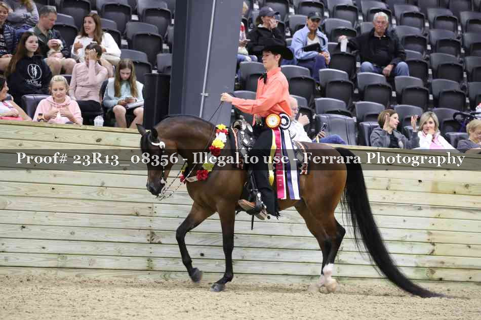 Proof 23R13_08356