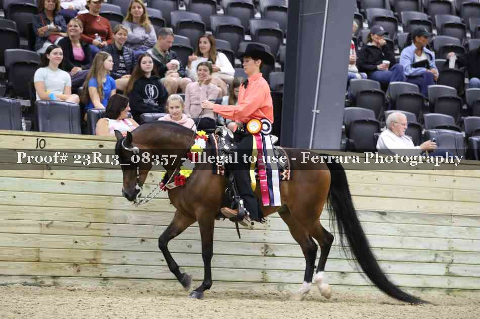 Proof 23R13_08357