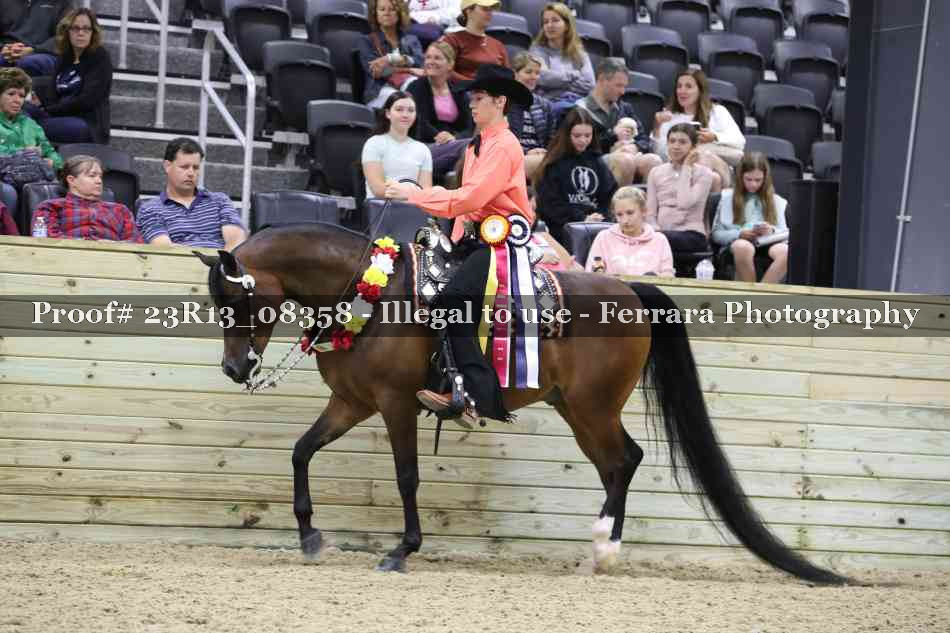 Proof 23R13_08358