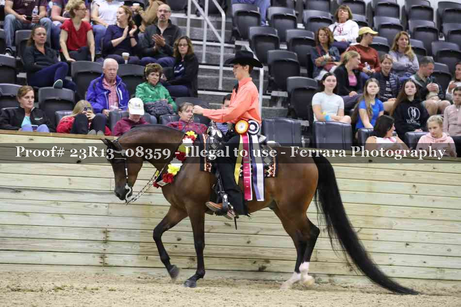 Proof 23R13_08359