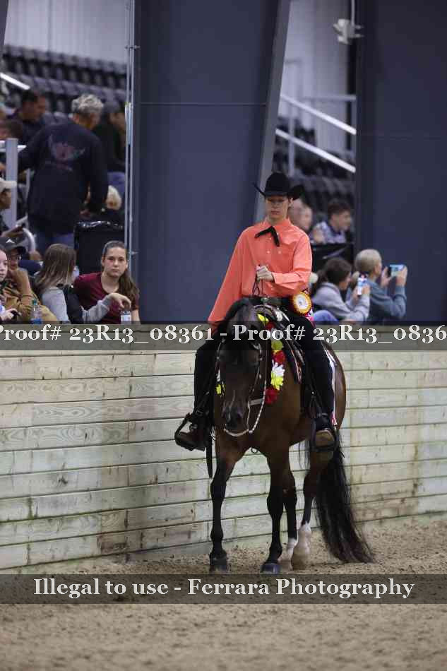 Proof 23R13_08361