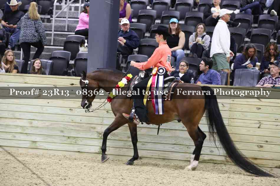 Proof 23R13_08362