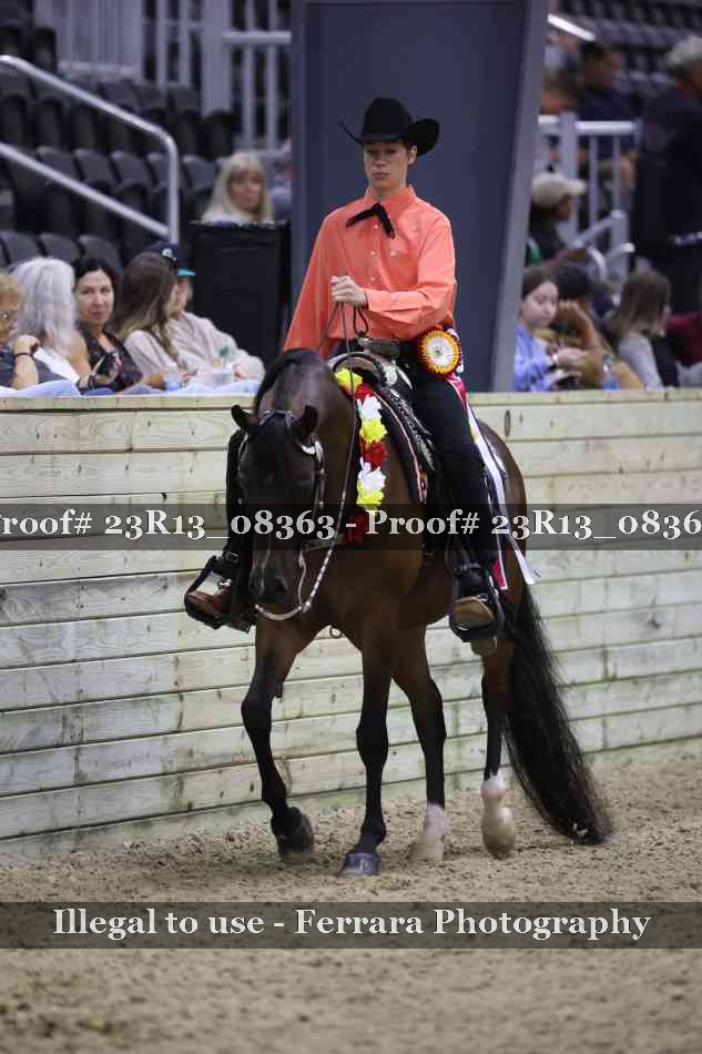 Proof 23R13_08363