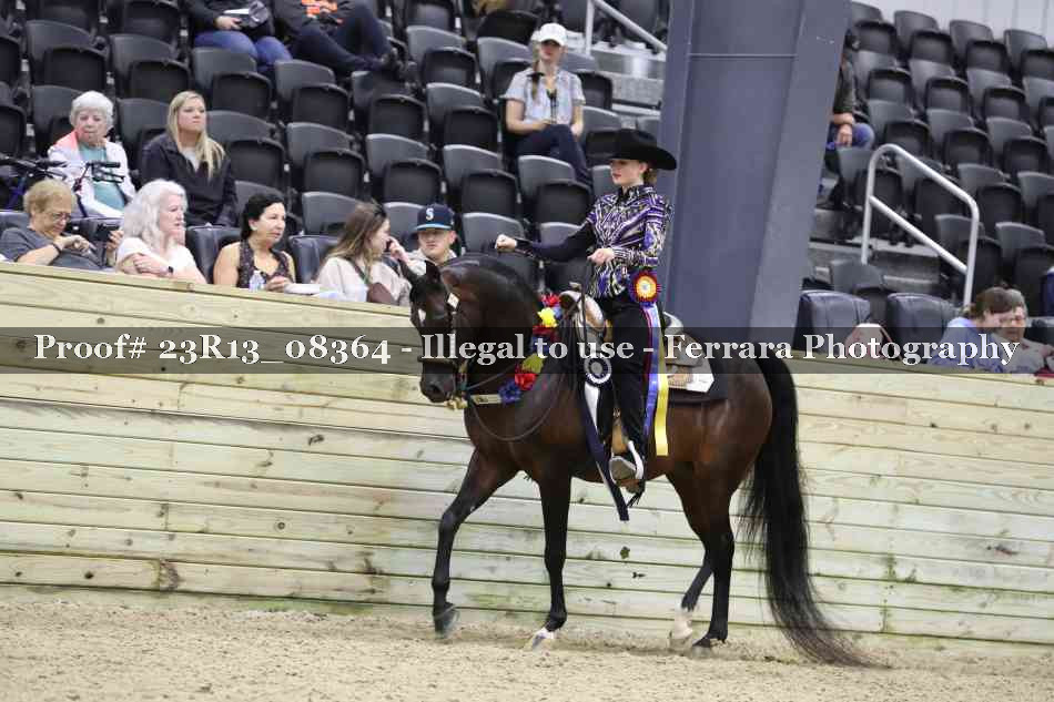 Proof 23R13_08364