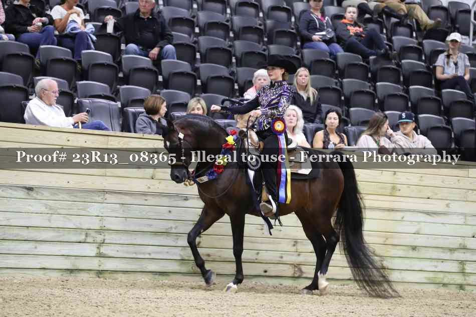 Proof 23R13_08365
