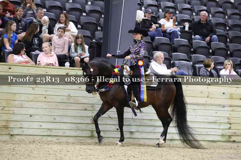 Proof 23R13_08366