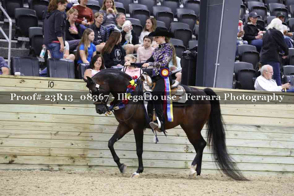 Proof 23R13_08367