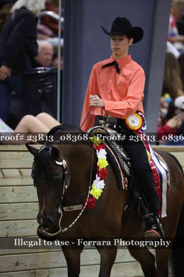 Proof 23R13_08368