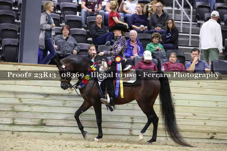Proof 23R13_08369