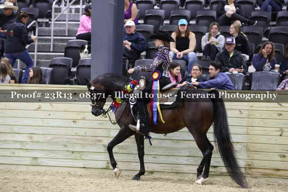 Proof 23R13_08371