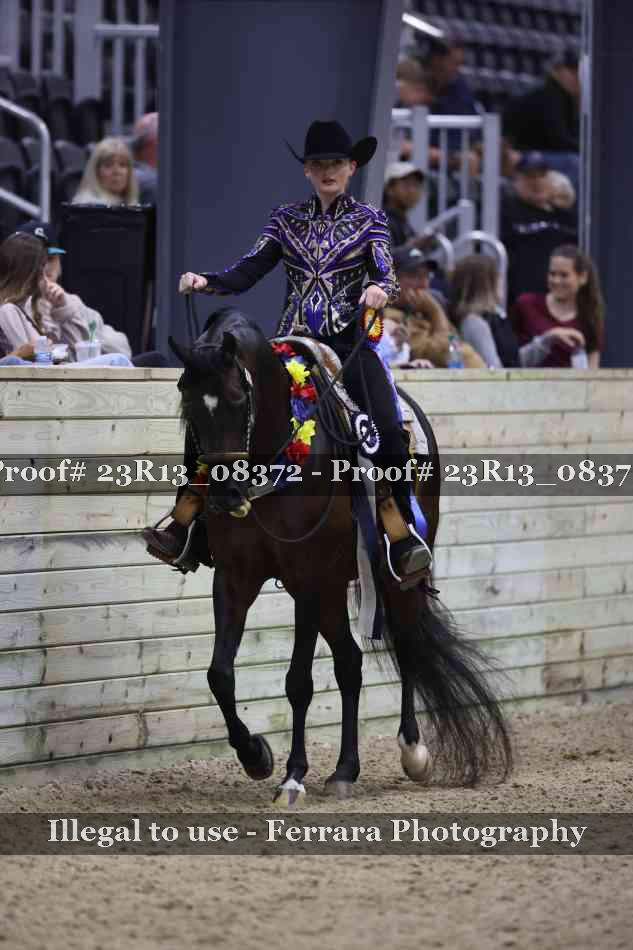 Proof 23R13_08372