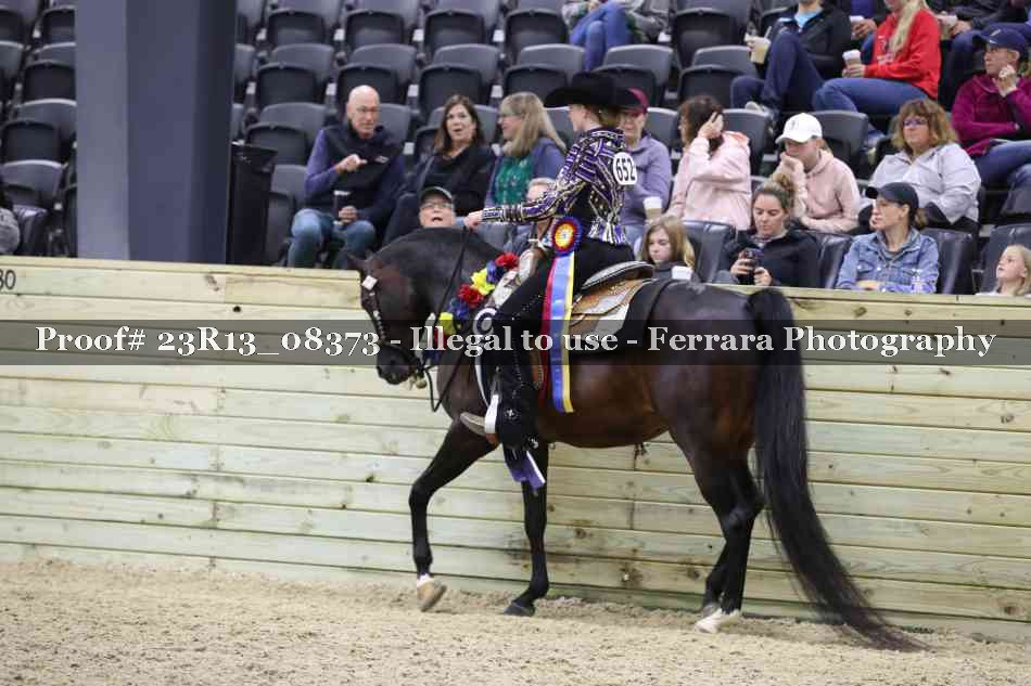 Proof 23R13_08373