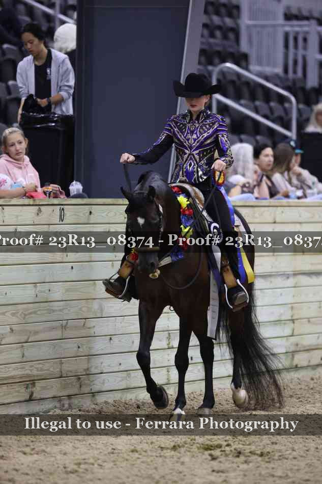 Proof 23R13_08374