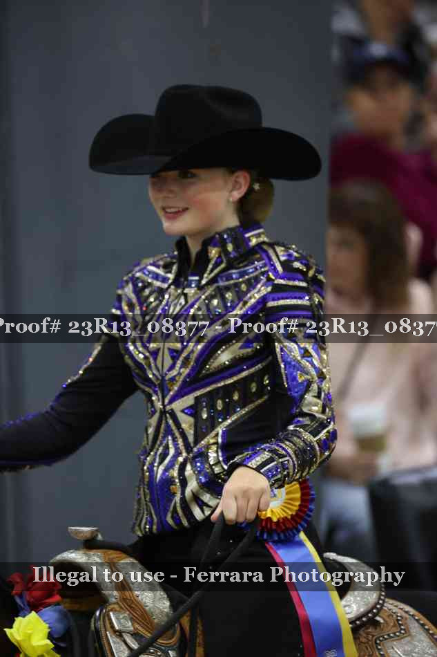 Proof 23R13_08377
