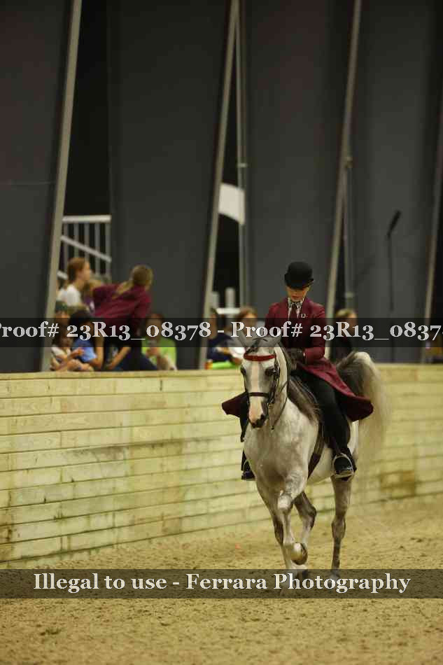 Proof 23R13_08378